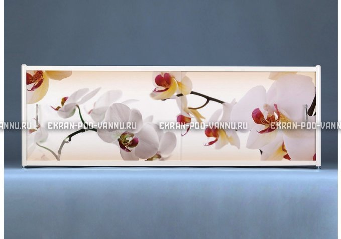 Раздвижной ФОТО экран - Orchid – купить по цене 8500 руб. в интернет-магазине в городе Воронеж картинка 1