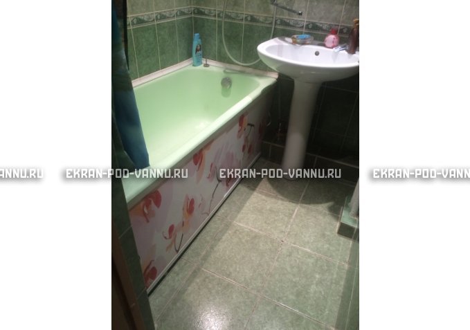 Раздвижной ФОТО экран - Orchid – купить по цене 8500 руб. в интернет-магазине в городе Воронеж картинка 6