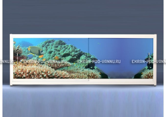 Экран на роликах EUROPLEX Коралловые рифы – купить по цене 12400 руб. в интернет-магазине в городе Воронеж картинка 1